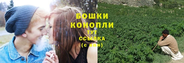 тгк Костерёво