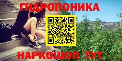 альфа пвп Краснознаменск