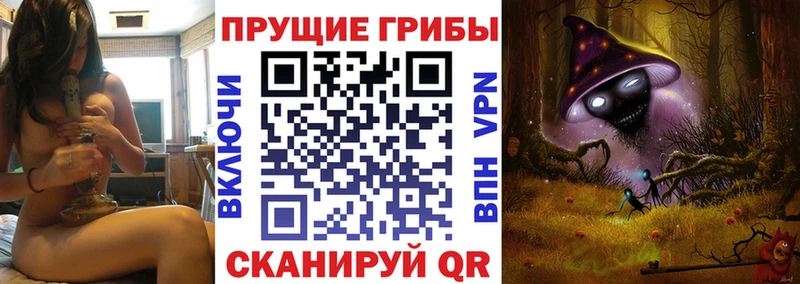 сайты даркнета телеграм  Чебаркуль  Псилоцибиновые грибы мицелий  где можно купить  