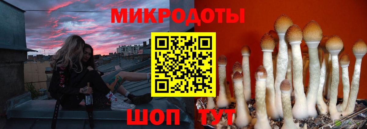 Чебаркуль  Галлюциногенные грибы MAGIC MUSHROOMS  купить закладку  Вход с VPN  Псилоцибиновые грибы Cubensis 